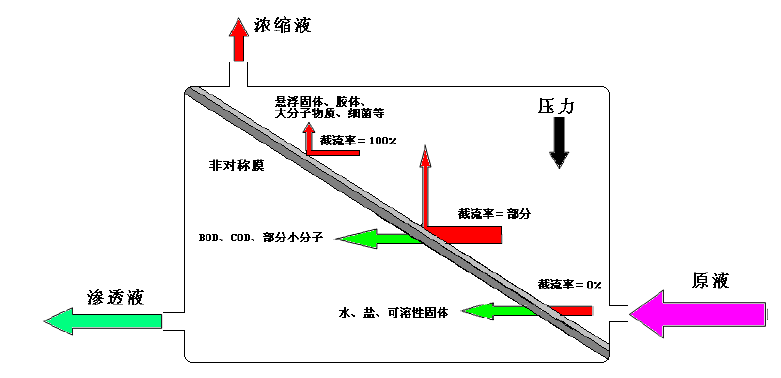 工業(yè)超濾膜工作原理